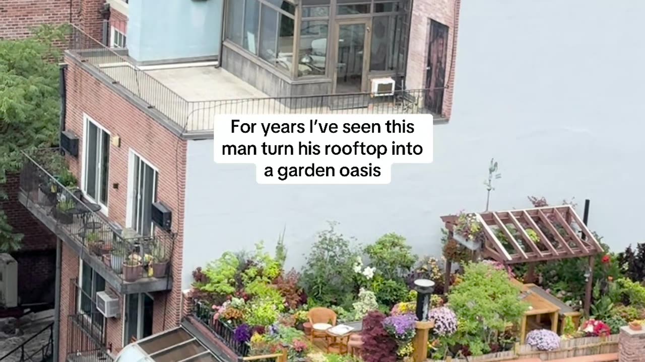Man Turns NYC Rooftop Into Garden Oasis