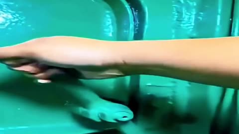 💪🚪 This Bathroom Door is INSANELY Strong! | FunFM