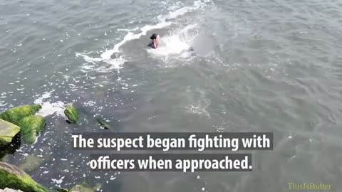 NYPD bodycam shows fearless cops plunging into water after alleged car thief
