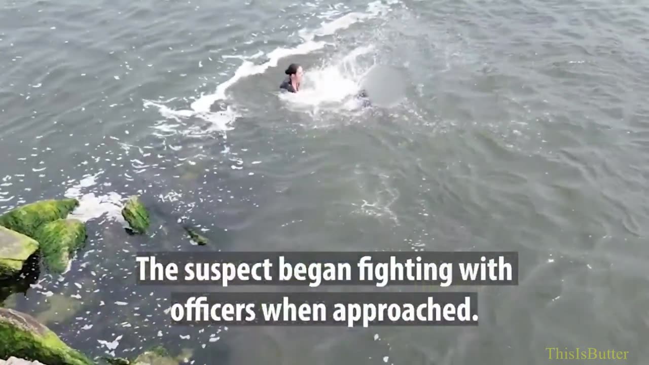 NYPD bodycam shows fearless cops plunging into water after alleged car thief