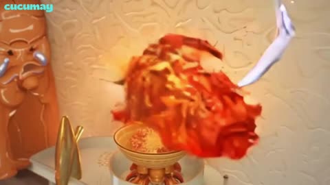 Wall Gecko Becomes Chef