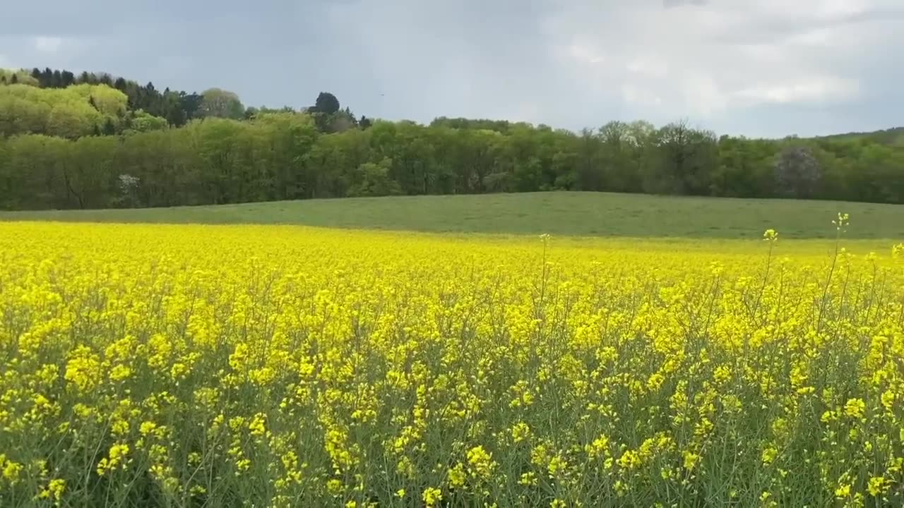 Fier d'être JOURNALOPE sur BFM !