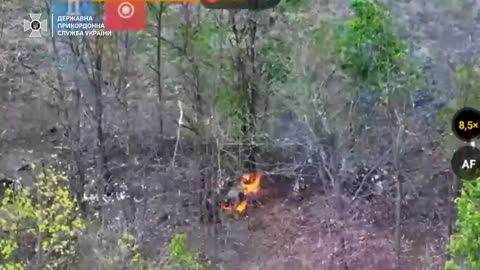 Ukrainian Destroy Multiple Transport Vehicles in Just Hours