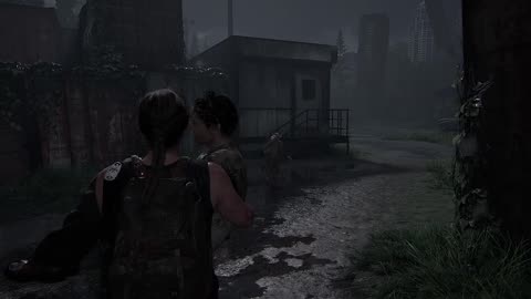 The Last Of Us Part 2 - 26