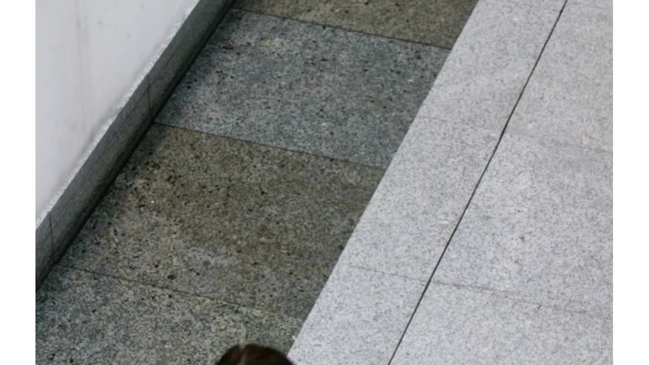 Flooring That Works for You