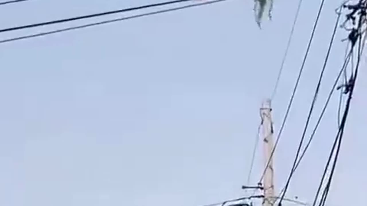 😮✨ The Goat Simulator Update That Looks Just Like Real Life! | FeedMyCuriosity