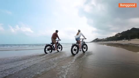 Electric Bike