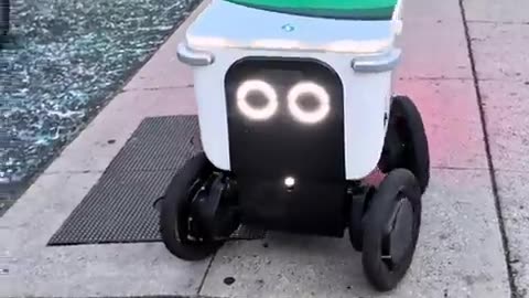 "Humans first, then dogs, then robots!" Man stands his ground against a delivery robot.