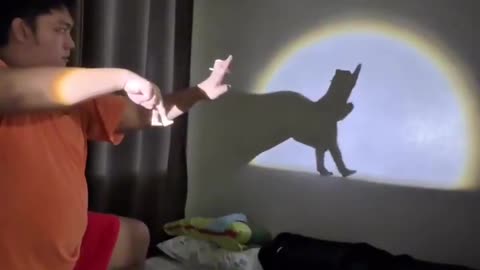 Smooth Criminal (Shadow Art)