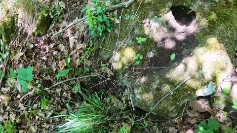 I Opened the Treasure Vaults! What I Experienced Afterwards Was It a Talisman or Nature?