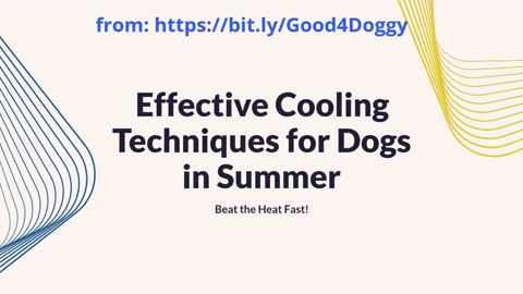 Effective Cooling Techniques for Dogs in Summer 🐶 Beat the Heat Fast!