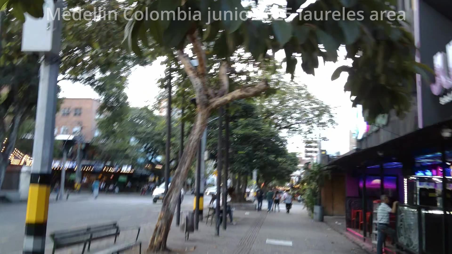 Caminando por laureles.