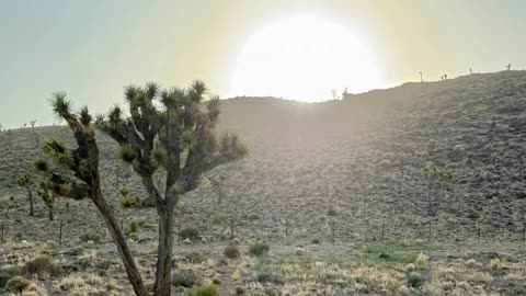 Invisible Scars ---Dark Country