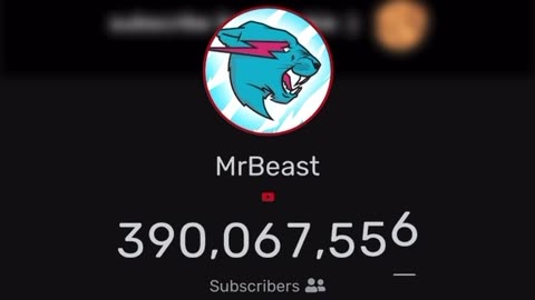 Mr beast subscribes
