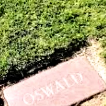 FAMOUS GRAVES - VOL. 153: LEE HARVEY OSWALD