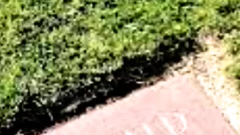 FAMOUS GRAVES - VOL. 153: LEE HARVEY OSWALD