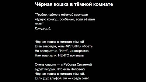 Чёрная кошка в тёмной комнате