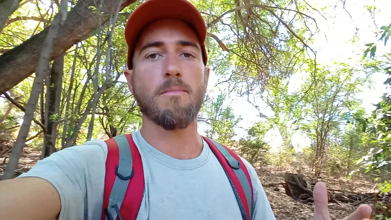 Why Carnivore Diet Promoters Are The Most Evil People
