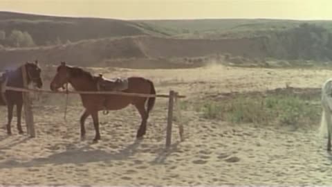 Shanghai Joe (Western 1973) Chen Lee