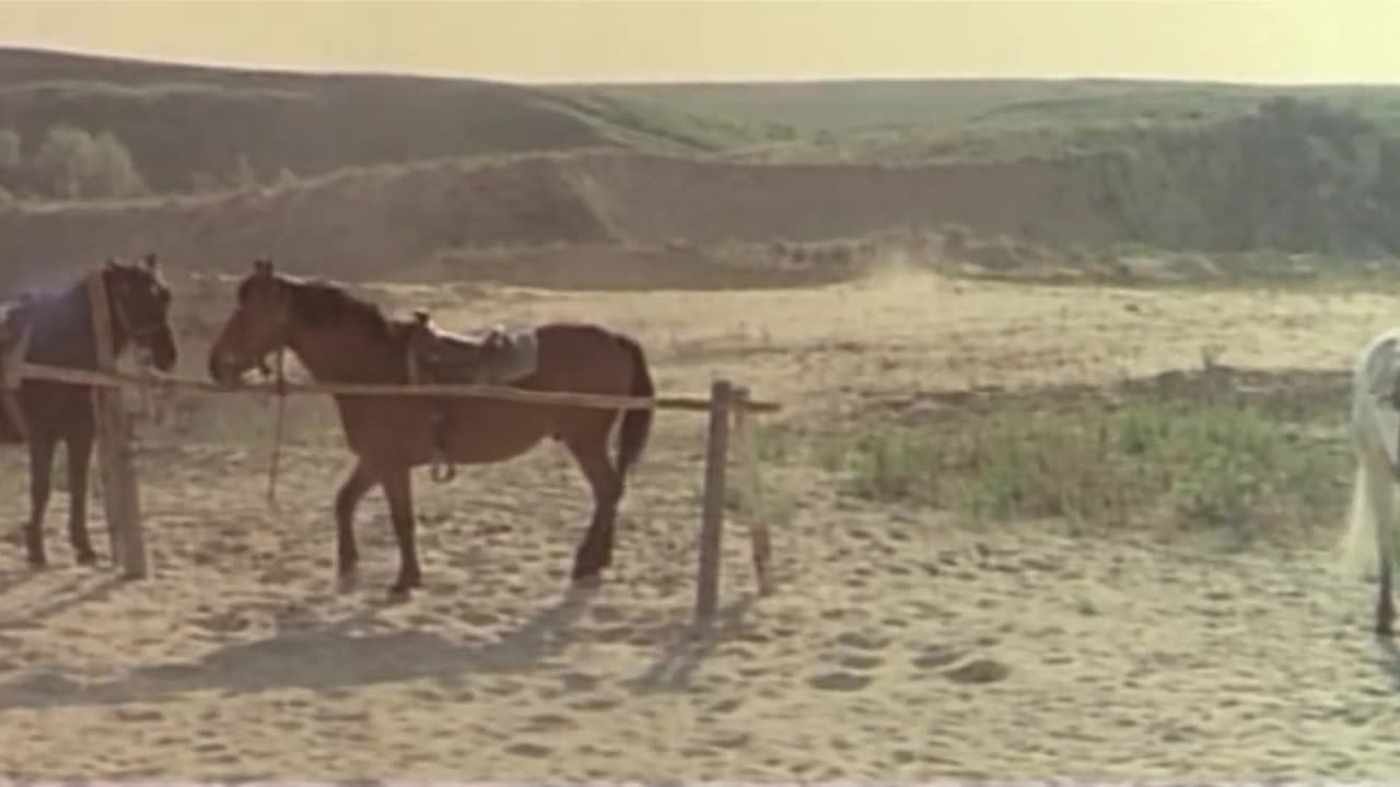 Shanghai Joe (Western 1973) Chen Lee