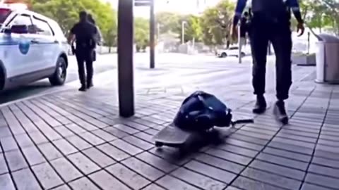FLORIDA COPS SAID FAFO - NOT CALIFORNIA - ARE YOU STUPID OR SOMETHING LOL