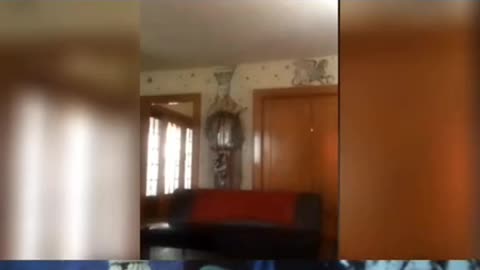 😱👻 Shadow Figure Caught on Camera! | TheHauntingHour