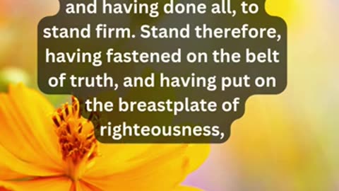 Journey of faith and spiritual growth Ephesians 6:13-14 Daily Bible Verse
