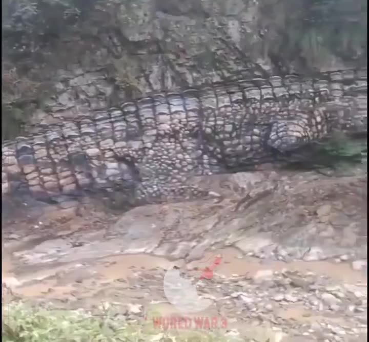 A fossil of a 50-foot saltwater crocodile was discovered in Australia after a storm