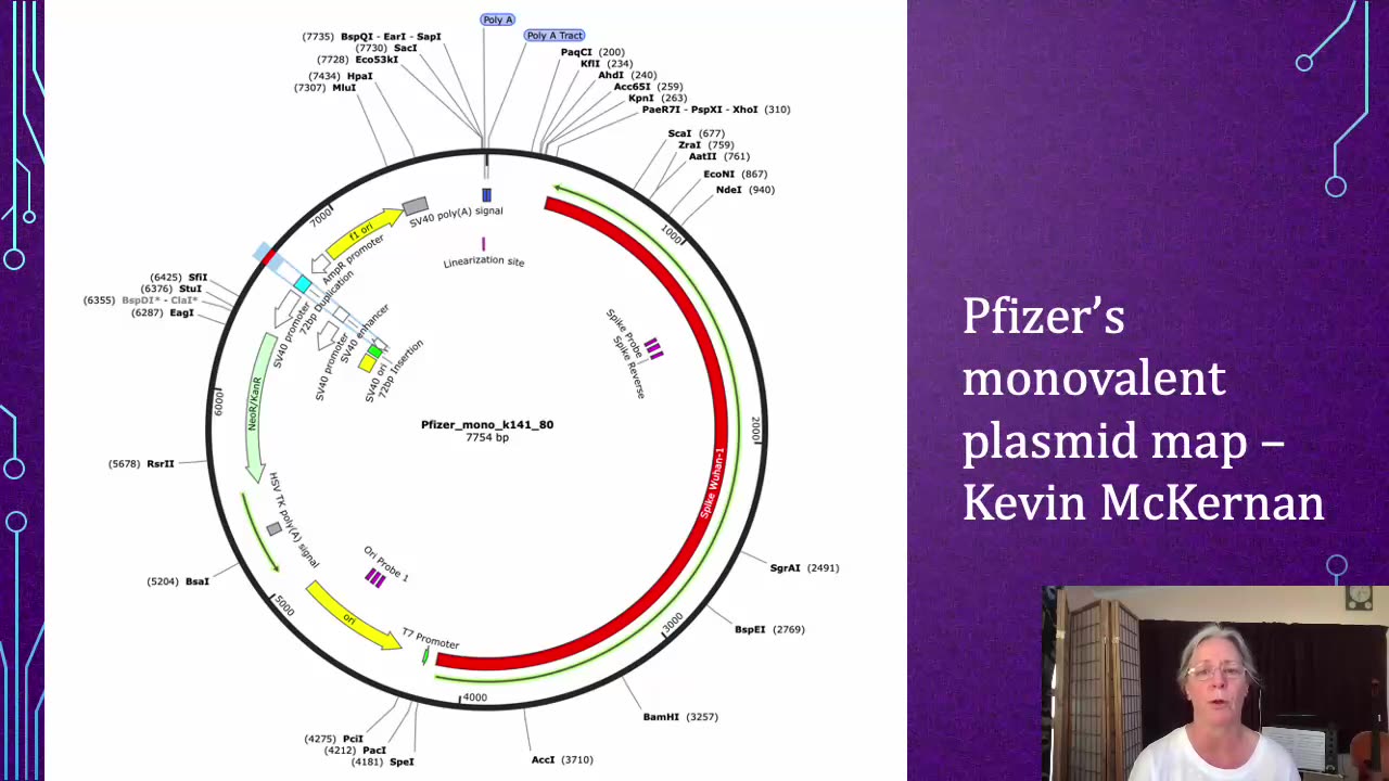 Dr. Suzanne Humphries - From Smallpox To Covid: