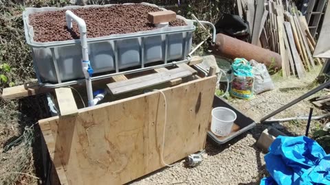 IBC Tote cycle testing, part 2