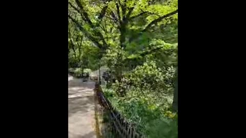 Opie Radio: on Anthony, meets a fan, “Potato Chip Saturday” & doggy #2 pickup patrol - 5/3/25