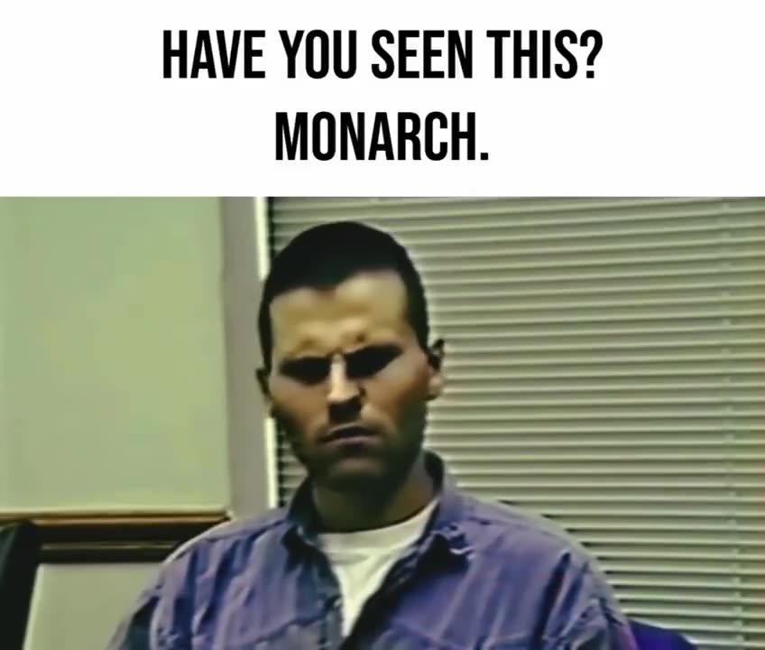 MONARCH &MK ULTRA survivor Paul Bonacci