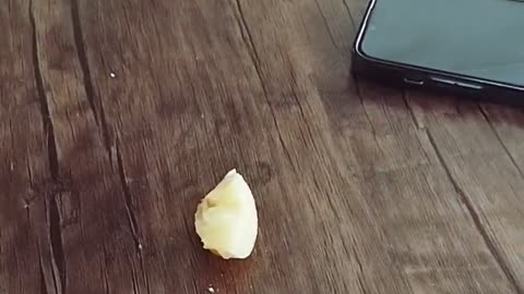 My favorite food