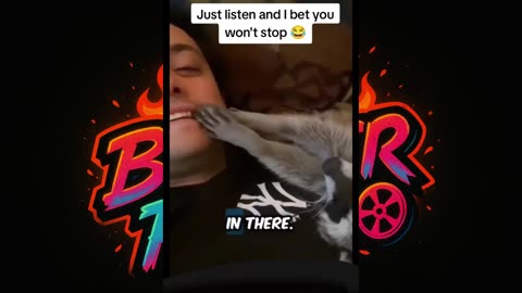 🤣 Ultimate Funny Pets Compilation