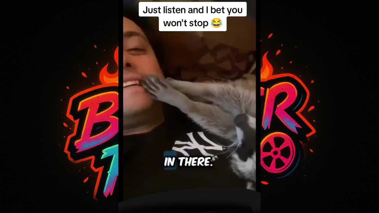 🤣 Ultimate Funny Pets Compilation