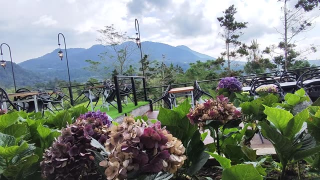 Peaceful Nature Escape | Relaxing Scenery to Calm Your Mind
