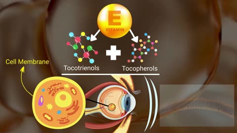 Stop Vision Loss 5 Best Vitamins to Prevent Eye Diseases