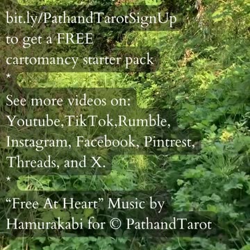 Unexplored Spaces | Path and Tarot Reading