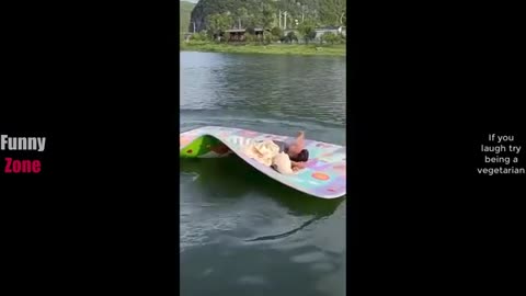 Funny videos
