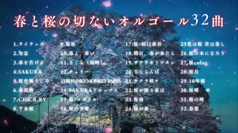 Healing J-POP Music Box 🌸 Spring & Sakura Melodies | No Ads, Relaxing BGM