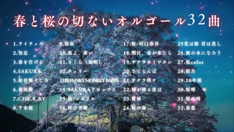 Healing J-POP Music Box 🌸 Spring & Sakura Melodies | No Ads, Relaxing BGM