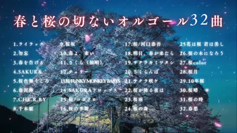 Healing J-POP Music Box 🌸 Spring & Sakura Melodies | No Ads, Relaxing BGM