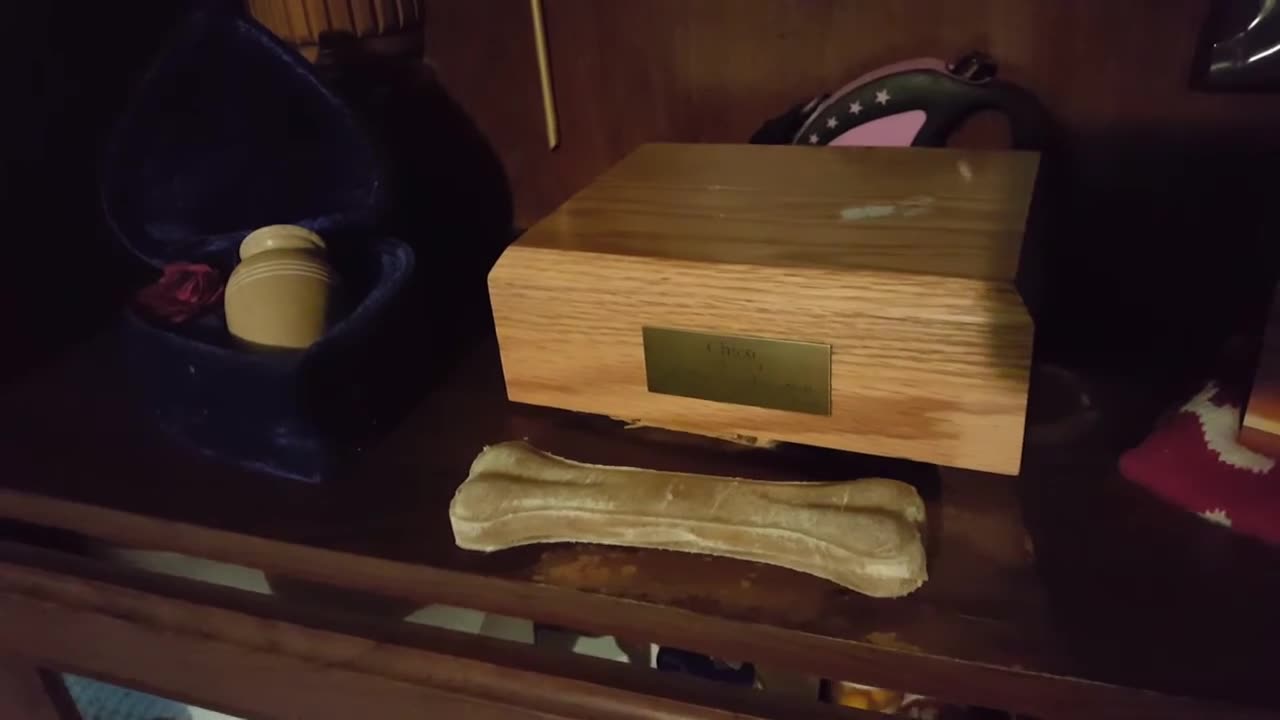 FINALLY Made My Tribute To Them (October 14, 2018)