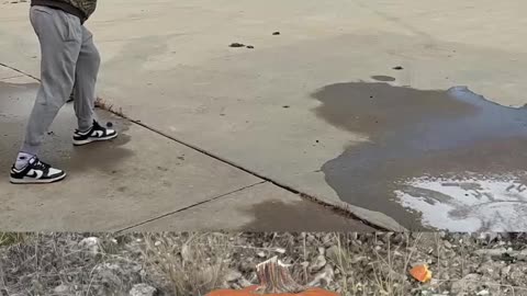 .600 Nitro vs. pumpkin