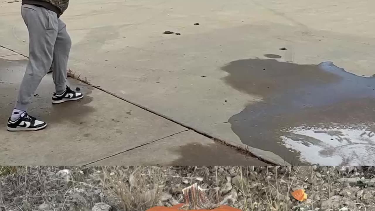 .600 Nitro vs. pumpkin