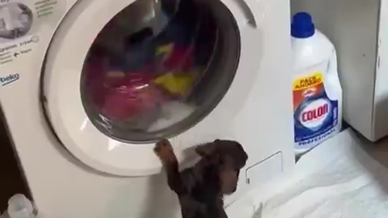When he realizes that his little bed is in there.