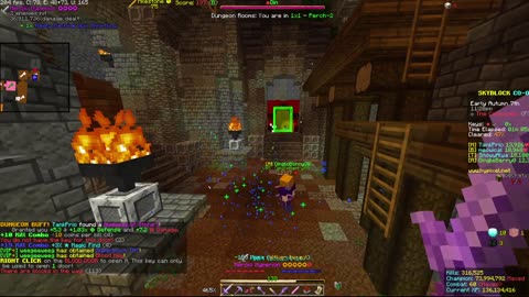 Skyblock FLOOR 7 [#2206]