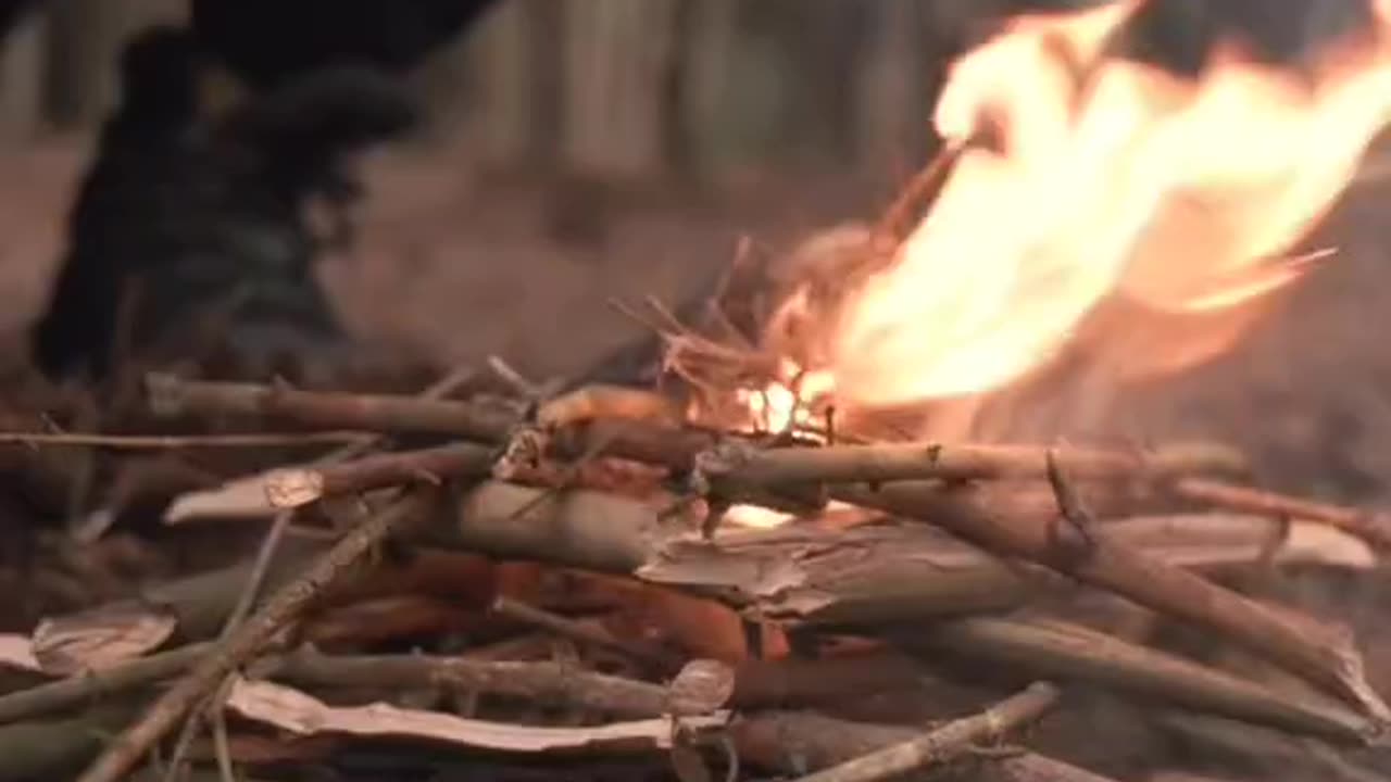 Steel wool, battery, tinder, ready to go fire