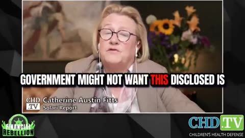 Catherine Austin Fitts connects the dots：