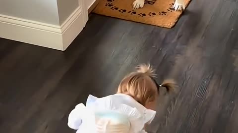 funny animals momment with babies